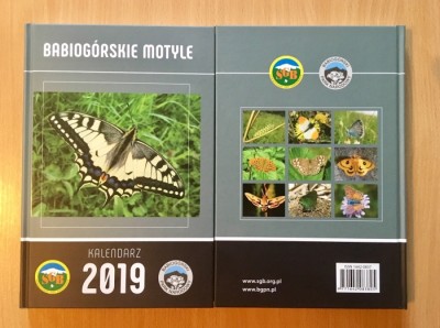 Babiogórskie motyle - kalendarz na 2019 rok 
