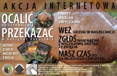  OCALIĆ OD ZAPOMNIENIA - PRZEKAZAĆ W NASTĘPNE POKOLENIA