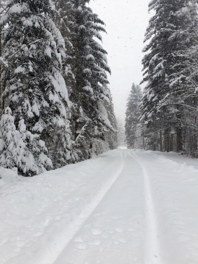 Obfite opady śniegu w Bieszczadach 