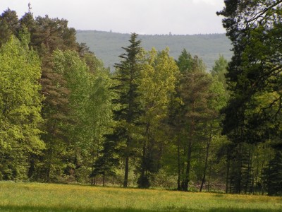Swietokrzyski National Park